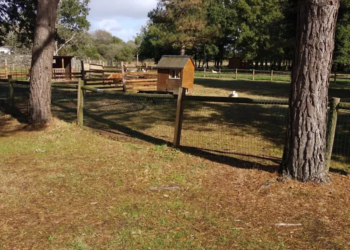 キャンプ場 Mobil モンテギュ